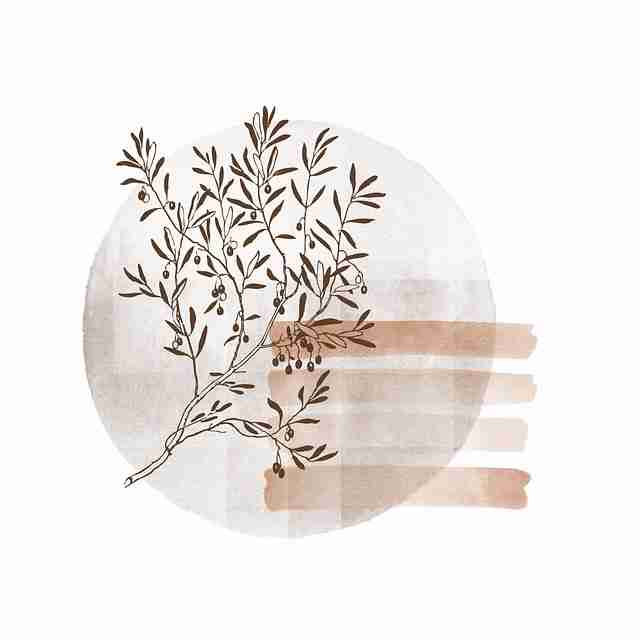 17吃瓜流言去向：爆料生态案例复盘